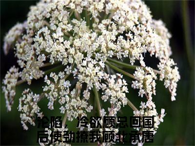 沦陷，冷欲顾总回国后使劲撩我小说全文免费阅读大结局-顾北承唐初晴最新章节列表免费阅读