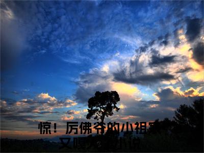 惊！厉佛爷的小祖宗又嘎人了小说（洛璃厉沉渊）全文免费阅读无弹窗大结局_洛璃厉沉渊小说最新章节_笔趣阁（惊！厉佛爷的小祖宗又嘎人了）