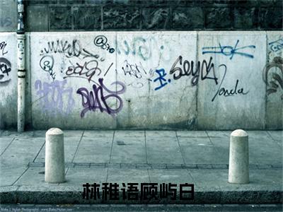 林稚语顾屿白全文免费(林稚语顾屿白)全集小说完整版大结局-林稚语顾屿白全文阅读无弹窗