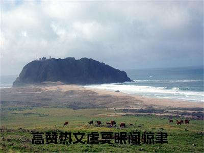 虞夏眠闻惊聿(虞夏眠闻惊聿）小说全文免费读无弹窗大结局_虞夏眠闻惊聿小说全文免费阅读最新章节列表