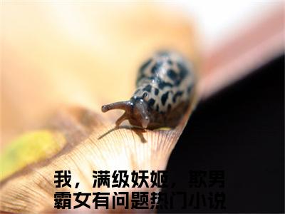 宁长寂姜盈小说全文免费阅读-我，满级妖姬，欺男霸女有问题小说最新章节列表（宁长寂姜盈）