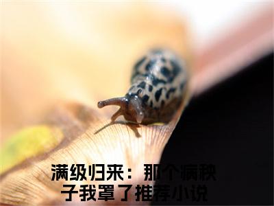 主人公叫（霍闻安徐星光）的小说（满级归来：那个病秧子我罩了）免费阅读最新章节列表_笔趣阁