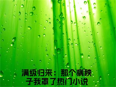 满级归来：那个病秧子我罩了（霍闻安徐星光）全文免费阅读无弹窗_满级归来：那个病秧子我罩了:霍闻安徐星光最新小说_笔趣阁（霍闻安徐星光）