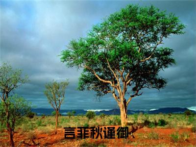 爱你一往情深小说全文（言菲秋谨御）在线阅读-爱你一往情深全文免费阅读无弹窗大结局