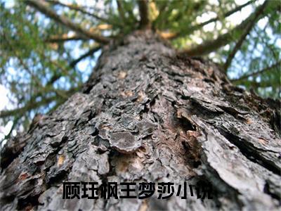 顾珏枫王梦莎（顾珏枫王梦莎小说）全文免费阅读无弹窗大结局_（顾珏枫王梦莎）顾珏枫王梦莎小说最新章节列表_笔趣阁（顾珏枫王梦莎小说）