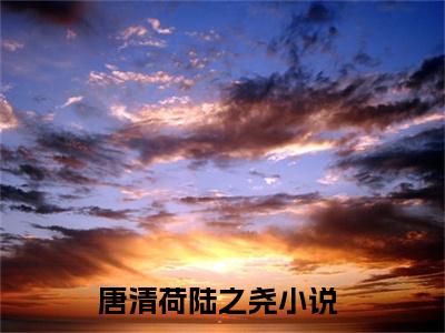 唐清荷陆之尧抖音完结版阅读《唐清荷陆之尧抖音》最新章节目录好书推荐_(唐清荷陆之尧)