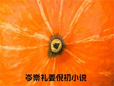 岑崇礼姜倪初（岑崇礼姜倪初无弹窗）全文免费阅读无弹窗大结局_岑崇礼姜倪初最新章节列表_笔趣阁（岑崇礼姜倪初无弹窗）