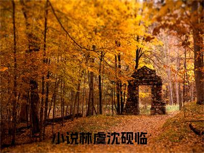 林虞沈砚临（林虞沈砚临）小说-林虞沈砚临小说免费最新章节列表