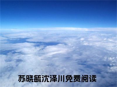 沈医生，你的小甜妻小说（苏晓毓沈泽川）全文在线阅读无弹窗大结局_（沈医生，你的小甜妻在线阅读无弹窗）最新章节列表_笔趣阁（苏晓毓沈泽川）