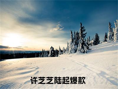 许芝芝陆起（许芝芝陆起）全文免费阅读无弹窗大结局_（许芝芝陆起无弹窗）_笔趣阁