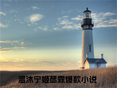 温沐宁姬彦霖（温沐宁姬彦霖）全文免费阅读无弹窗大结局_（温沐宁姬彦霖）已完结全集大结局小说