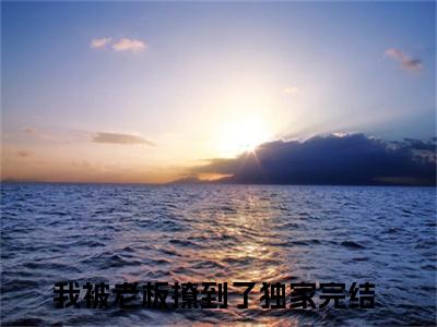 我被老板撩到了（乔漫景暮延）独家首发免费小说-（我被老板撩到了）乔漫景暮延小说全文在线阅读笔趣阁