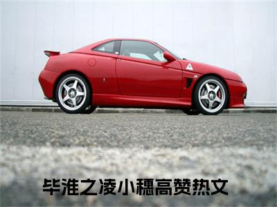 毕淮之凌小穗全文（毕淮之凌小穗）完整版小说阅读_毕淮之凌小穗全本列表免费笔趣阁（毕淮之凌小穗）