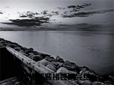 沈诺柠裴褚（沈诺柠裴褚）全文完整版免费阅读_（沈诺柠裴褚全文免费阅读）最新章节列表