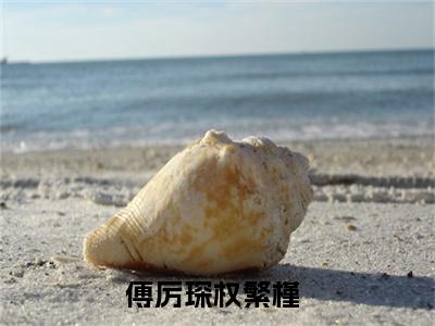 《傅厉琛权繁槿》傅厉琛权繁槿（大结局小说全集完整版）傅厉琛权繁槿小说_全文阅读笔趣阁