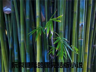 八零私奔夜，继承厂长遗产养崽崽全文免费阅读无弹窗大结局-阮梨糖陆皓霆全文在线阅读