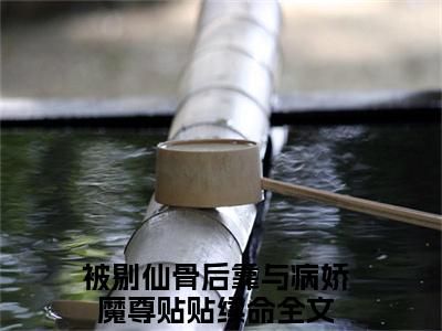 山奈沧祈澜（被剔仙骨后靠与病娇魔尊贴贴续命）全文免费阅读-小说山奈沧祈澜大结