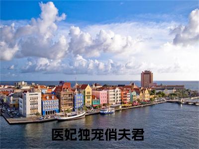 安雪棠墨云景（医妃独宠俏夫君小说）全文免费阅读无弹窗大结局_医妃独宠俏夫君小说免费阅读-笔趣阁