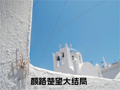 颜路楚望全文免费在线阅读_（颜路楚望全文免费阅读无弹窗大结局）