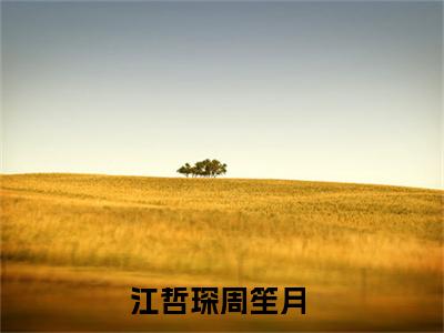 江哲琛周笙月（江哲琛周笙月小说）全文免费阅读无弹窗大结局_江哲琛周笙月最新章节列表笔趣阁