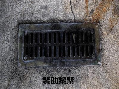 裴劭黎繁(裴劭黎繁)小说免费下载全本-裴劭黎繁（裴劭黎繁完整版）免费阅读无弹窗（裴劭黎繁）