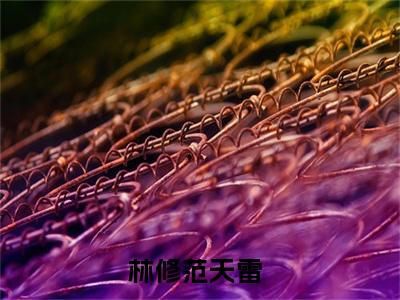 林修范天雷全文免费阅读无弹窗(小说全文免费阅读)林修范天雷最新章节列表_笔趣阁
