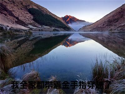 徐茵茵（我全家都带着金手指穿越了）热推现言小说-徐茵茵小说在哪里可以看全文