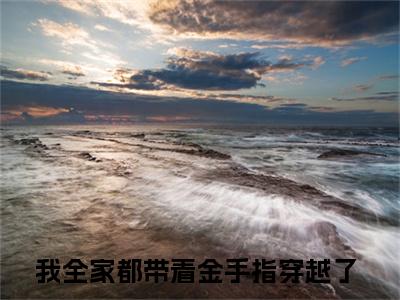 徐茵茵（我全家都带着金手指穿越了）全文免费阅读_（我全家都带着金手指穿越了）徐茵茵最新章节列表笔趣阁（我全家都带着金手指穿越了）