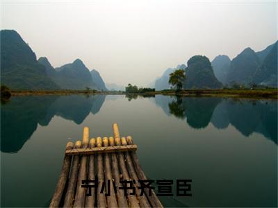 宁小书齐宣臣小说（宁小书齐宣臣）全文免费阅读无弹窗大结局_(宁小书齐宣臣小说)宁小书齐宣臣小说免费阅读无弹窗最新章节列表_笔趣阁（宁小书齐宣臣）