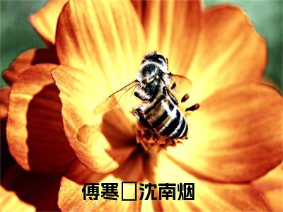 锥心小说（傅寒璟沈南烟）精彩章节-傅寒璟沈南烟全文免费在线阅读