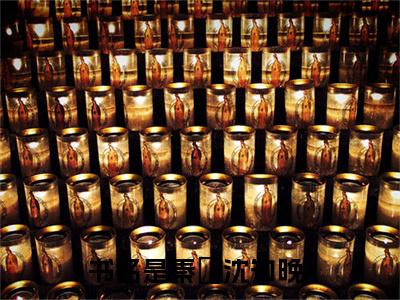 2023年爆款小说（秦祤沈知晚）主角秦祤沈知晚全文在线完本阅读