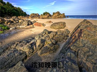 沈知晚秦祤(沈知晚秦祤小说)全文免费阅读无弹窗大结局_沈知晚秦祤小说免费阅读最新章节列表_笔趣阁（沈知晚秦祤小说）