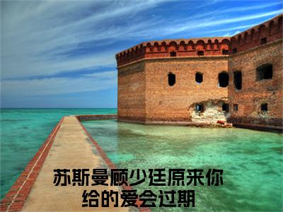 苏斯曼顾少廷全文免费阅读无弹窗大结局_（原来你给的爱会过期在线阅读）苏斯曼顾少廷最新章节完整版阅读