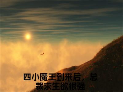 四小魔王到来后，总裁求生欲很强（叶千忆司厉爵）独家首发免费小说-（四小魔王到来后，总裁求生欲很强）叶千忆司厉爵小说全文在线阅读笔趣阁