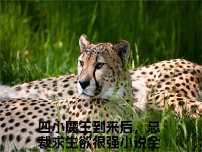 四小魔王到来后，总裁求生欲很强(叶千忆司厉爵)全文免费读无弹窗大结局_（叶千忆司厉爵免费小说）四小魔王到来后，总裁求生欲很强无弹窗最新章节列表_笔趣阁（叶千忆司厉爵）
