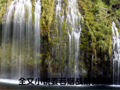 姜若烟战景妄（闪婚后，疯批战少每天缠哄我生崽）全文免费阅读_姜若烟战景妄免费阅读最新章节列表笔趣阁（闪婚后，疯批战少每天缠哄我生崽）