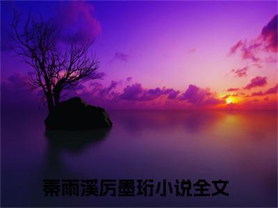 盼了三年的丈夫，回来了免费版最新更新阅读- 秦雨溪厉墨珩小说全文在线阅读