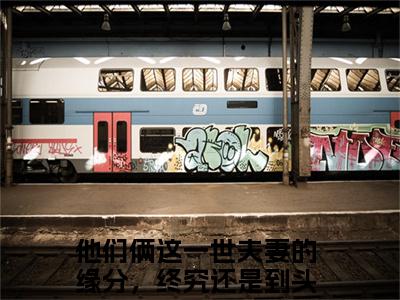 苏崇岳文兰心全文免费在线阅读_（他们俩这一世夫妻的缘分，终究还是到头了全文免费阅读无弹窗大结局）