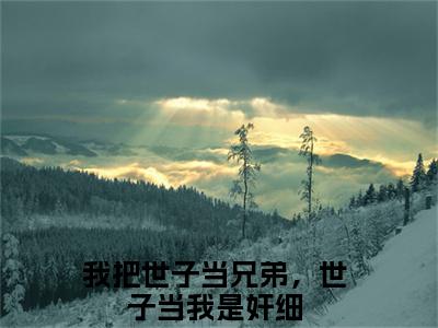 方清瑜沈彦宸小说全文（我把世子当兄弟，世子当我是奸细）完整版阅读-方清瑜沈彦宸小说全文无删减版