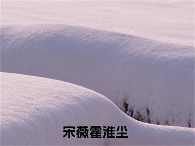 宋薇霍淮尘小说免费阅读宋薇霍淮尘小说全文免费阅读_（宋薇霍淮尘）宋薇霍淮尘最新章节列表笔趣阁