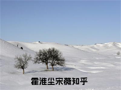 抖音小说（霍淮尘宋薇）主角是（霍淮尘宋薇）全文完整版免费阅读最新章节列表_笔趣阁