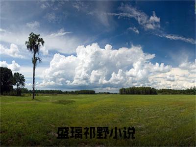 盛璃祁野（盛璃祁野）小说全文免费阅读正版无弹窗_盛璃祁野小说免费阅读全文无弹窗_笔趣阁