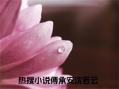 傅承安沈若云全网首发最新小说-傅承安沈若云全文在线免费阅读