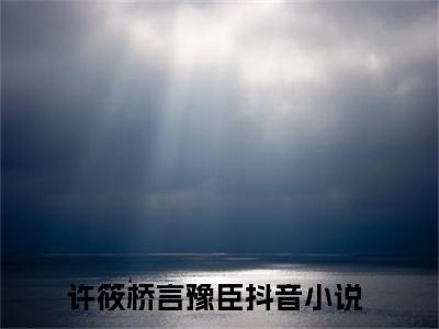 【新书】《爱是星光，你是深渊》全文免费阅读最新章节大结局-许筱桥言豫臣 全文全章节免费阅读