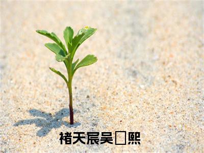 褚天宸吴婼熙最新（褚天宸吴婼熙 ）全文免费阅读无弹窗大结局笔趣阁