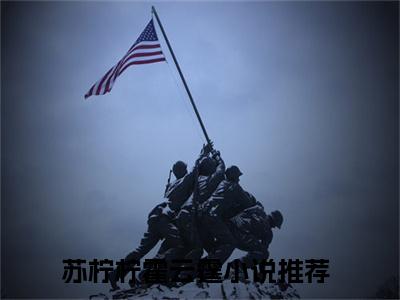 苏柠柠霍云霆小说（苏柠柠霍云霆）全文免费阅读无弹窗大结局_（苏柠柠霍云霆）苏柠柠霍云霆小说免费阅读无弹窗最新章节列表_笔趣阁（苏柠柠霍云霆）