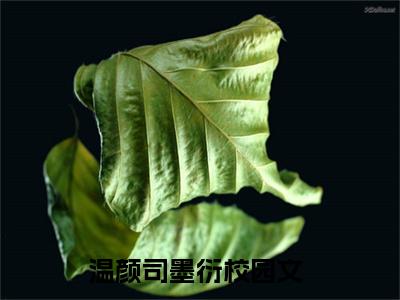 温颜司墨衍(温颜司墨衍)全文阅读无弹窗大结局_温颜司墨衍免费阅读无弹窗最新章节列表