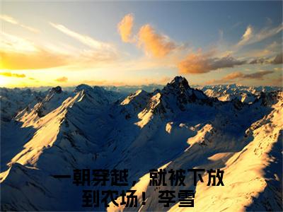 一朝穿越，就被下放到农场！李雪的小说免费阅读（一朝穿越，就被下放到农场！李雪小说免费阅读）全文免费阅读大结局-一朝穿越，就被下放到农场！李雪热门榜单好书推荐
