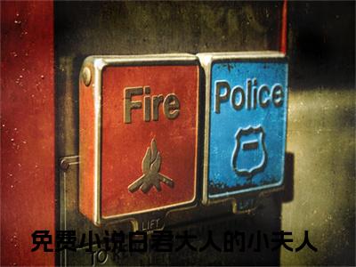 苏婉白重（白君大人的小夫人）小说全文免费阅读_（白君大人的小夫人）小说全文无删减版在线阅读