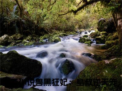 兽黑狂妃：皇叔逆天宠全文免费完整版-小说兽黑狂妃：皇叔逆天宠（慕无双）已完结全集大结局
